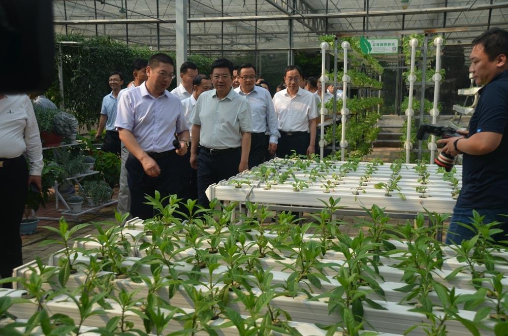 科技助農(nóng)，播撒光的種子  精準(zhǔn)扶貧，助力鄉(xiāng)村振興